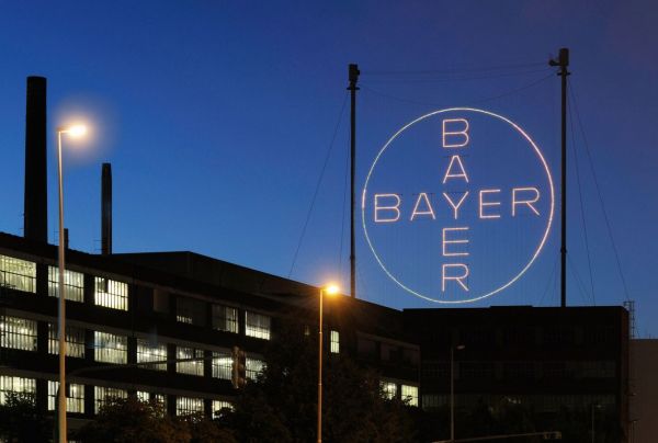 Bayer-Logo vor Abendhimmel