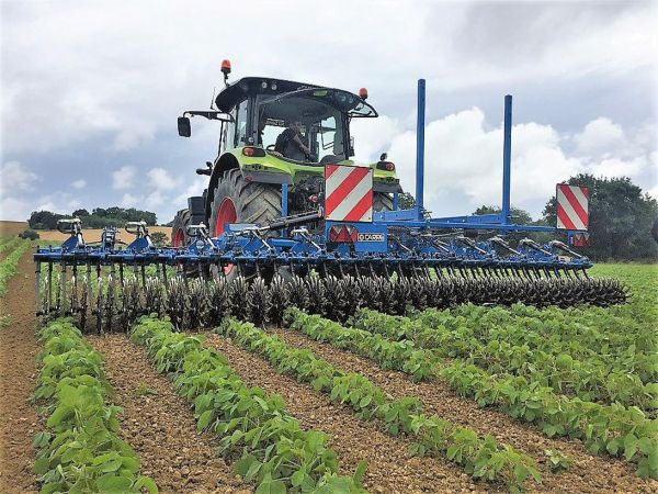 Sternrollhacke im Einsatz